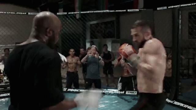 现今世界影坛当红的十位动作打星，个个真材实料非常能打