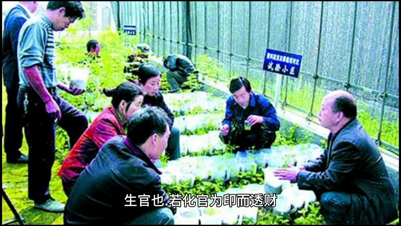 论正官的六种方法,论正官篇