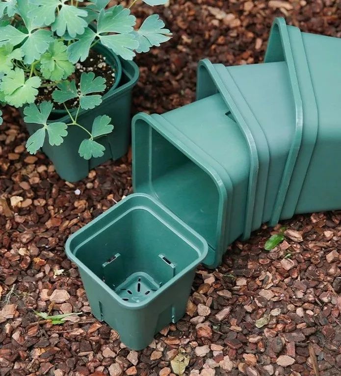 养花用陶瓷盆还是紫砂盆好,塑料盆和陶盆的优缺点