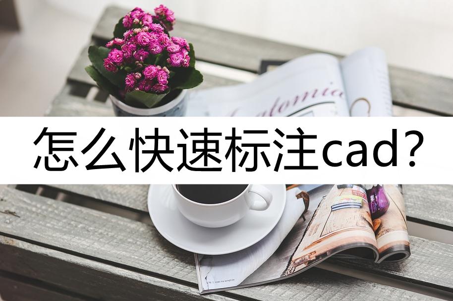 cad快速看图有标注cad打开无标注,cad尺寸标注怎么一键快速标注