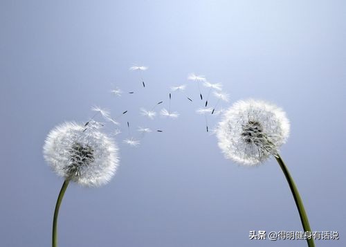 跟着练|点燃下焦,激活能量,重返20岁不是梦(附跨步走视频)