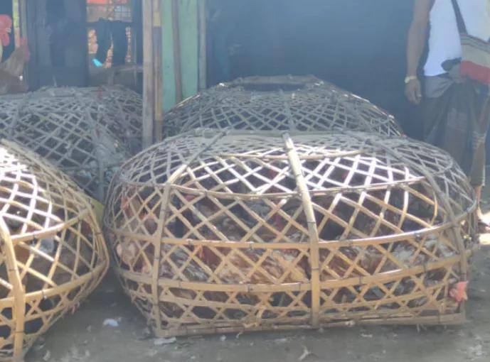 缅甸疫情严峻,缅甸疫情食物购买