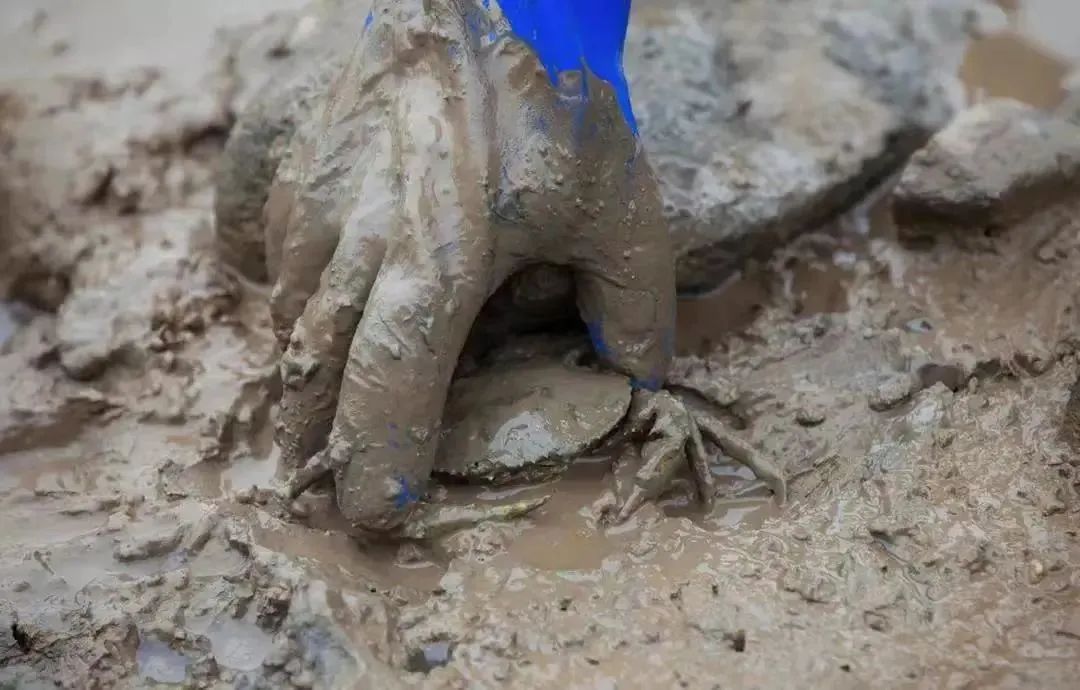 象山景区攻略,国庆嗨玩记