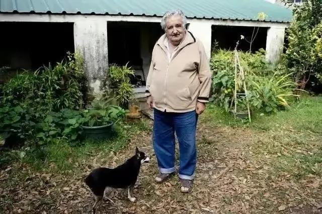 深度解析乌拉圭,乌拉圭南美小瑞士