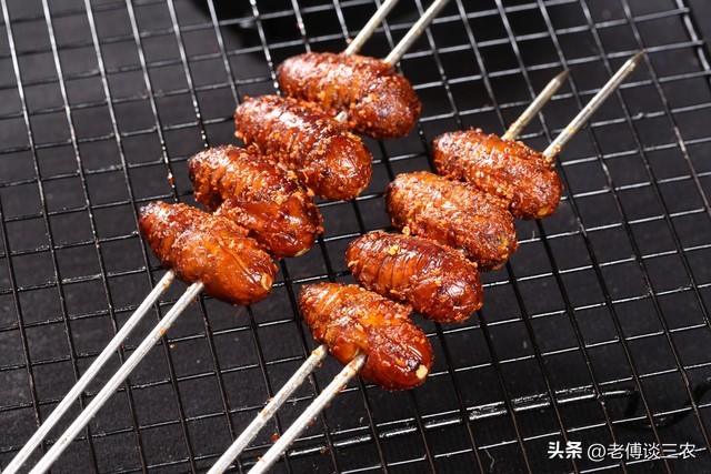 胡蜂人工养殖技术全套教程,农村00后小伙创业养殖胡蜂