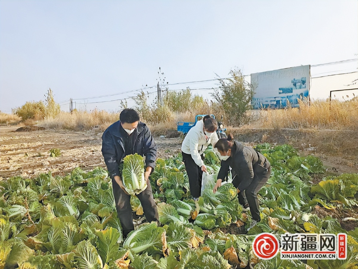 向乌鲁木齐防疫一线工作人员致敬,乌鲁木齐致敬防疫工作者