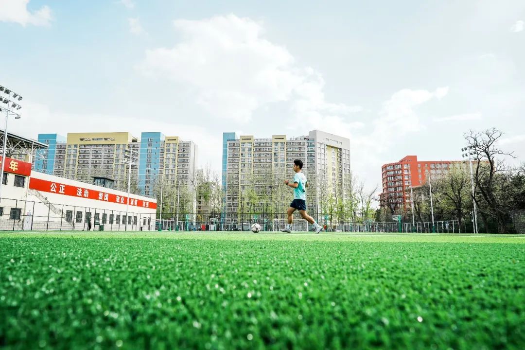 最新足球场改造消息,足球场升级改造