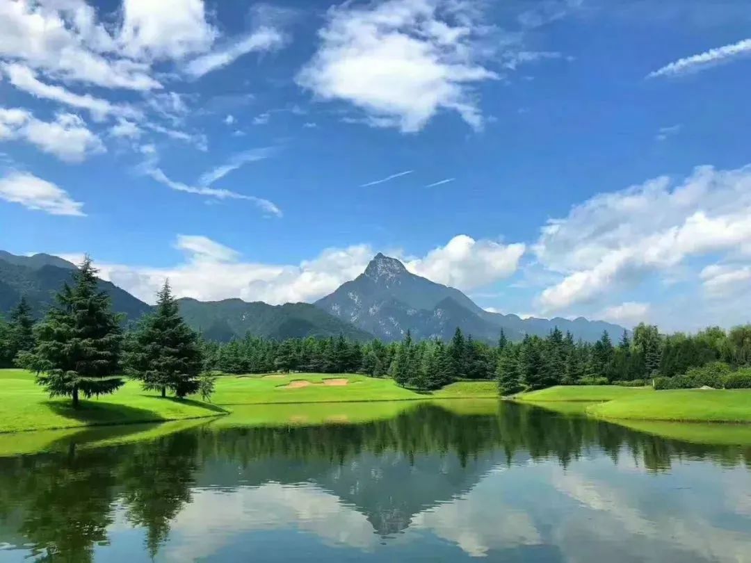 一个橄榄球球场,欧洲最有气氛的球场