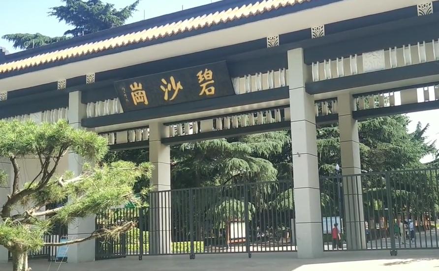 郑州踏青赏花全攻略,郑州最适合踏青赏花的地方