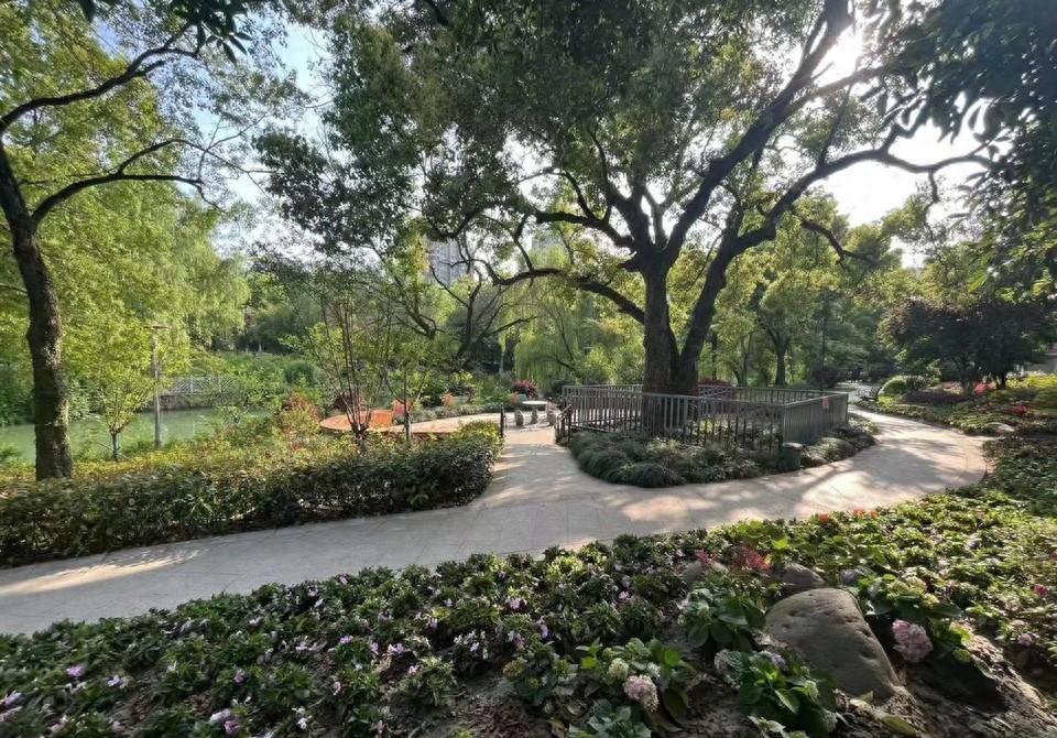 三墩镇政苑社区卫生服务中心,三墩镇政苑社区卫生服务站