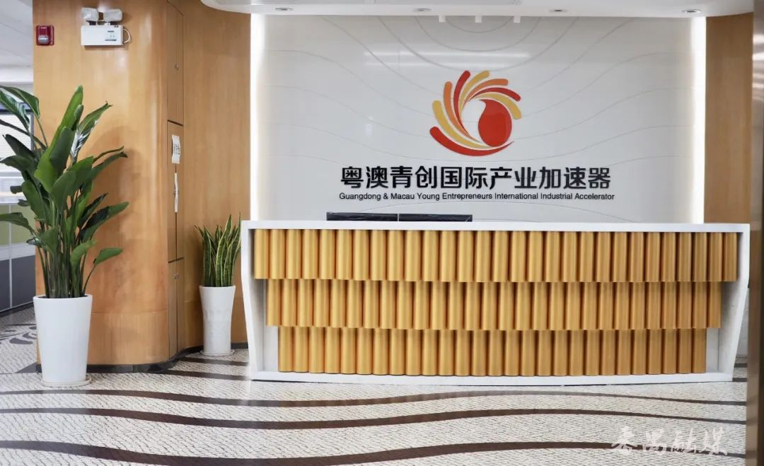 广州粤澳青创科技孵化器有限公司,粤港澳大湾区企业孵化器