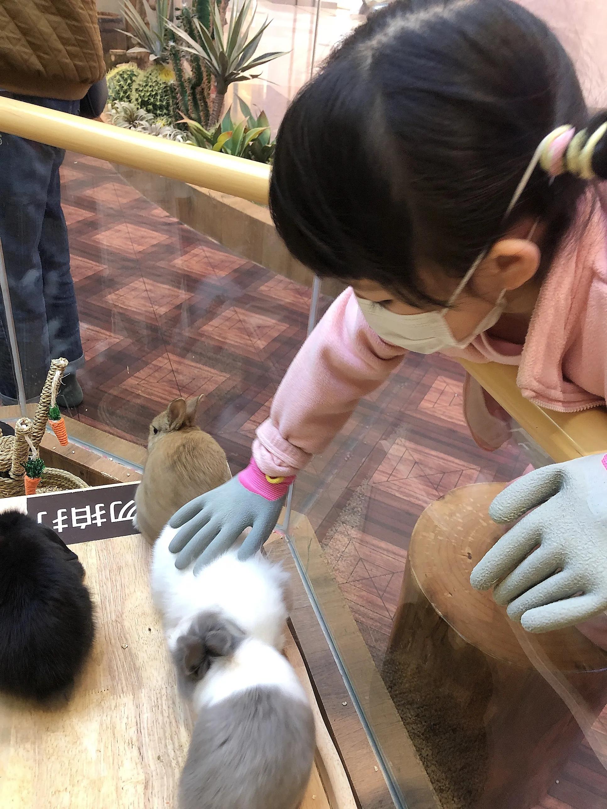 门头沟中骏世界城卡通尼Safari非洲探索乐园带闺女探店