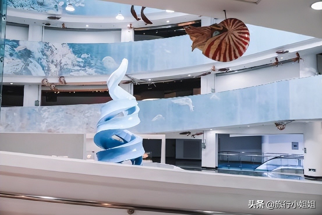 夏日海边微醺氛围感,滨城风光秀丽浪漫气息爆表