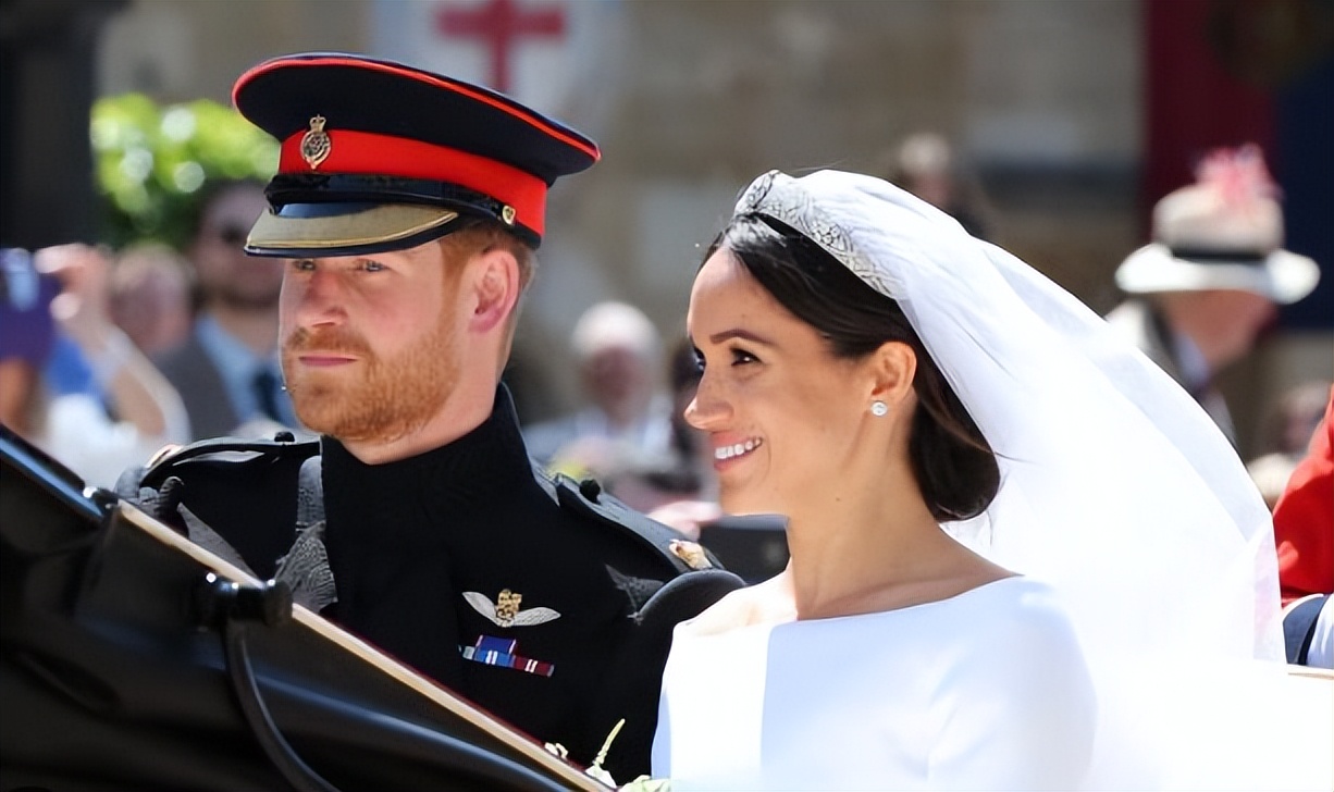 梅根哈里赚钱,梅根哈里靠什么赚钱