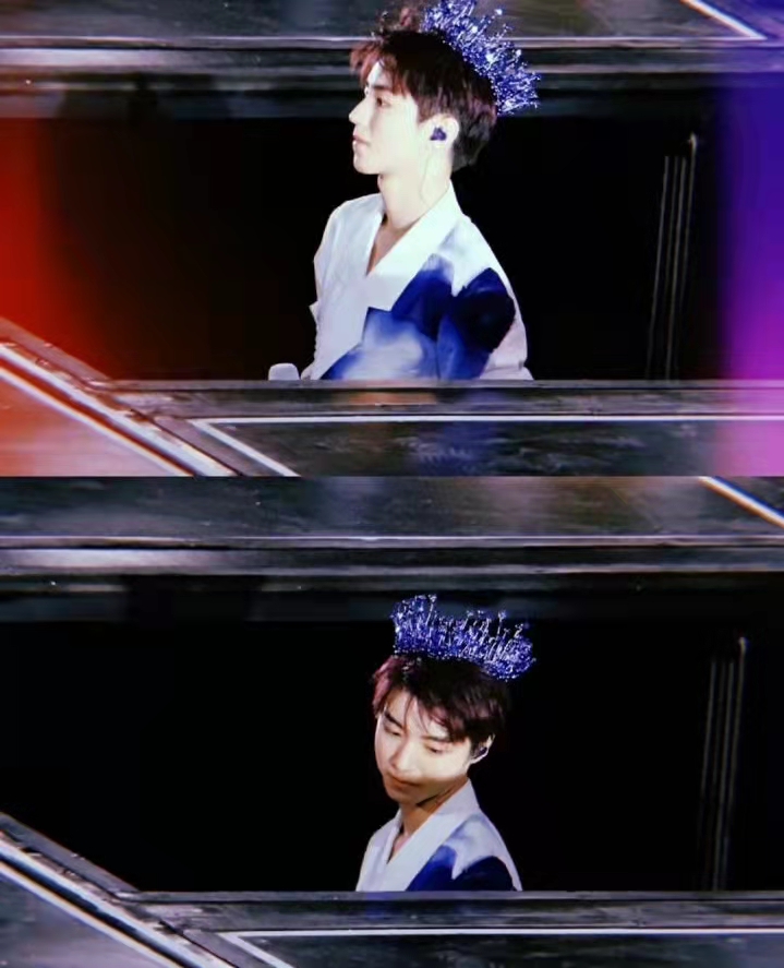 写给玫瑰的情感句子,写给玫瑰的花语