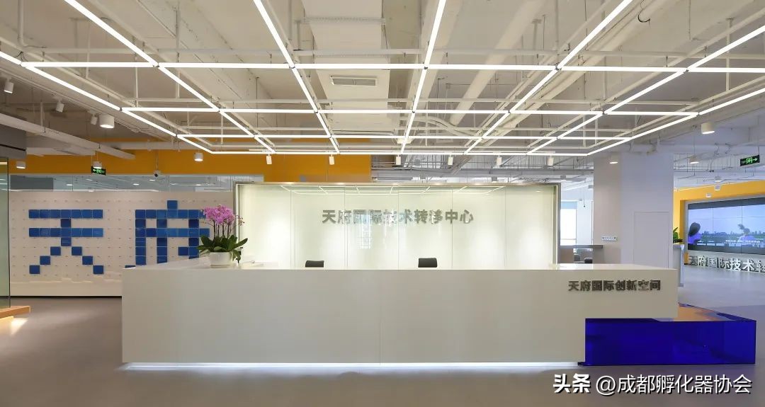 精选招聘岗位来袭,求职招聘等你来