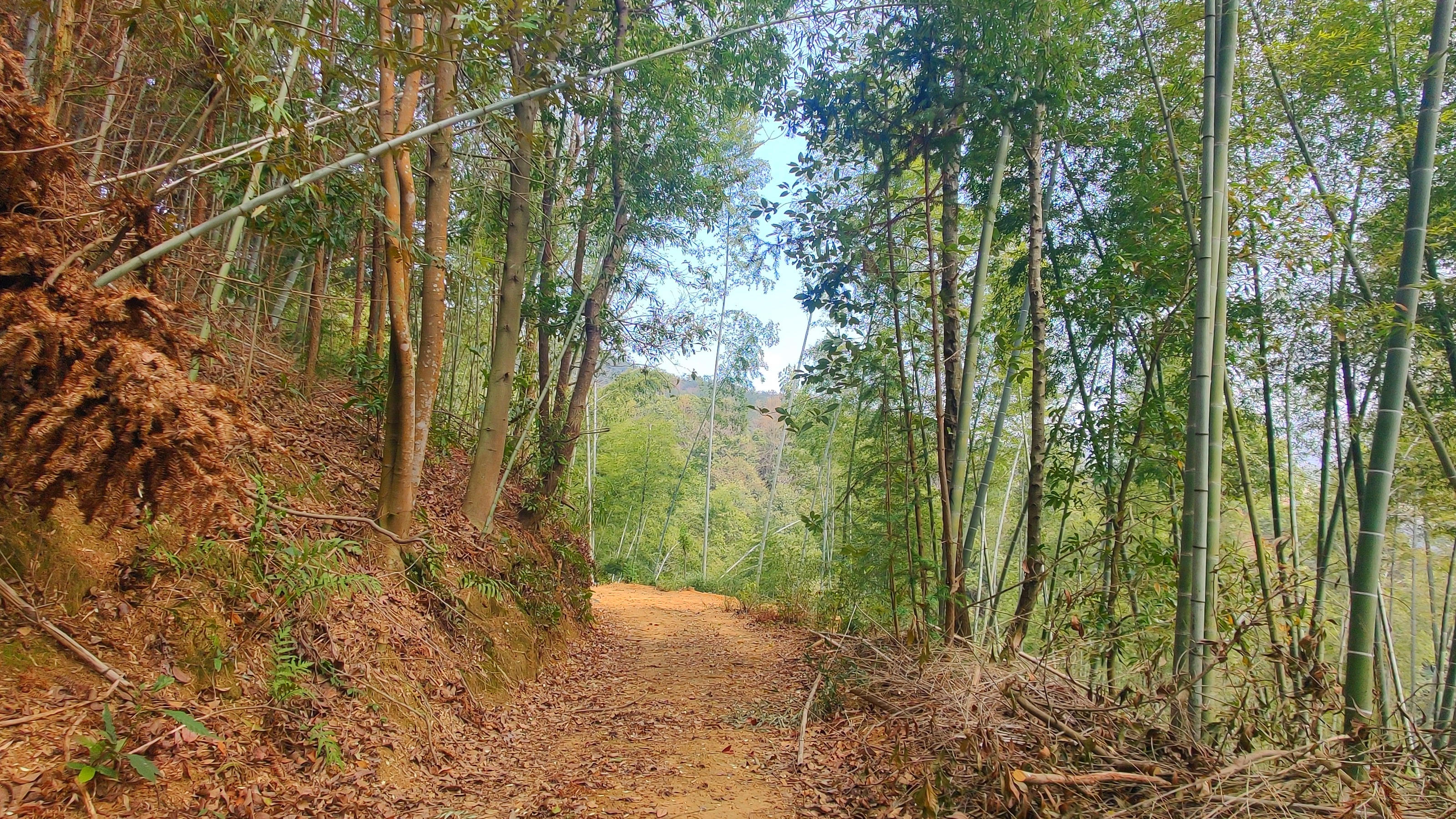 徒步三叠井森林公园，拥抱采兰溪，走进大自然