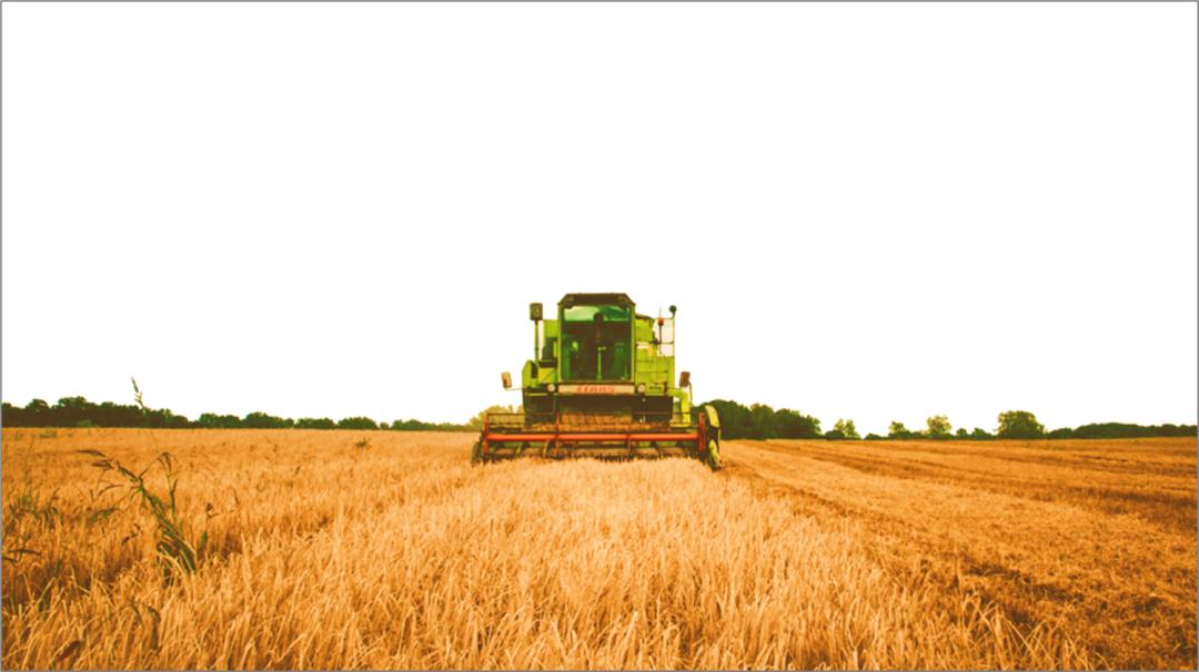 你这背景太假了模板高清,你这背景太假了模板素材