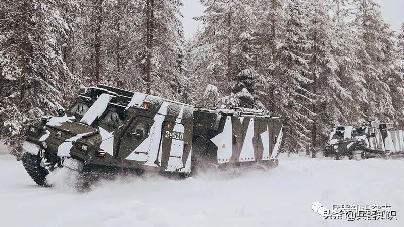 德国陆军豹2坦克,德国美洲豹轻型坦克