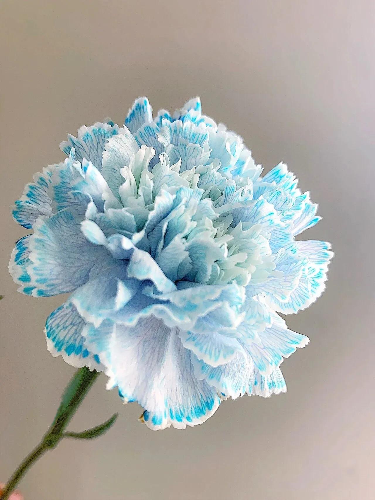 母亲节暖心文案给老婆,母亲节暖心文案