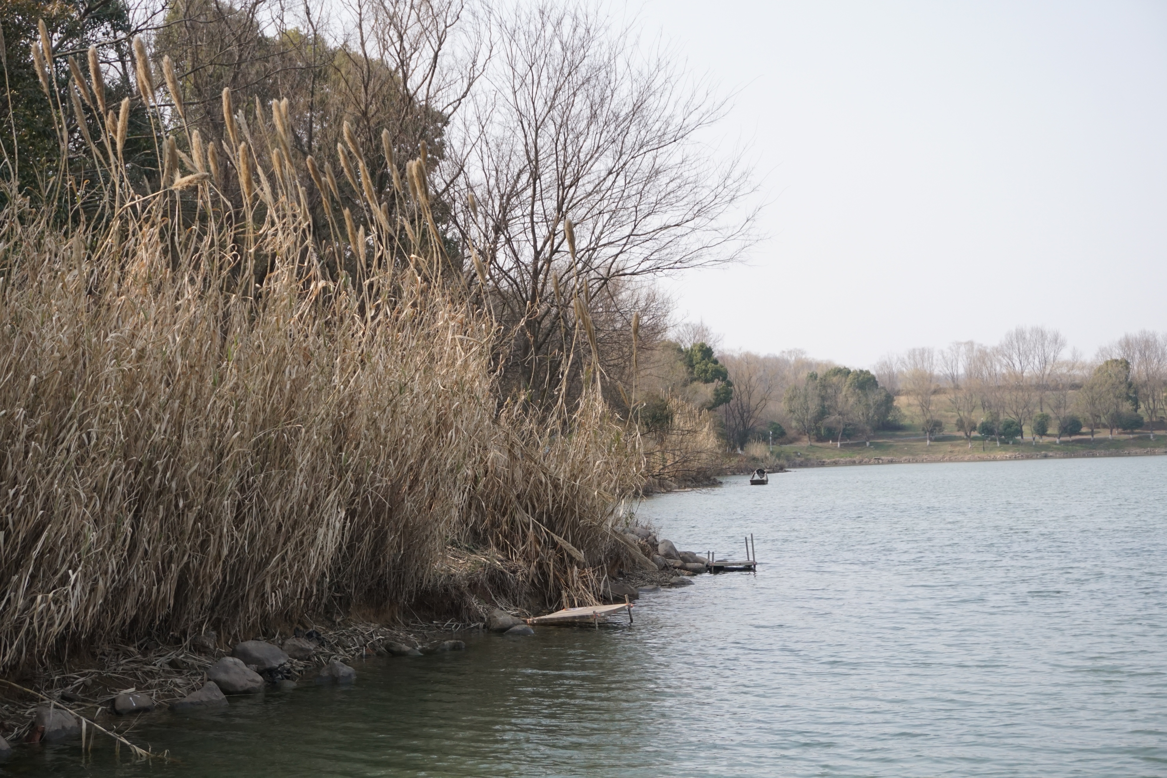 南京人看杭州,南京紫金山庄在哪里