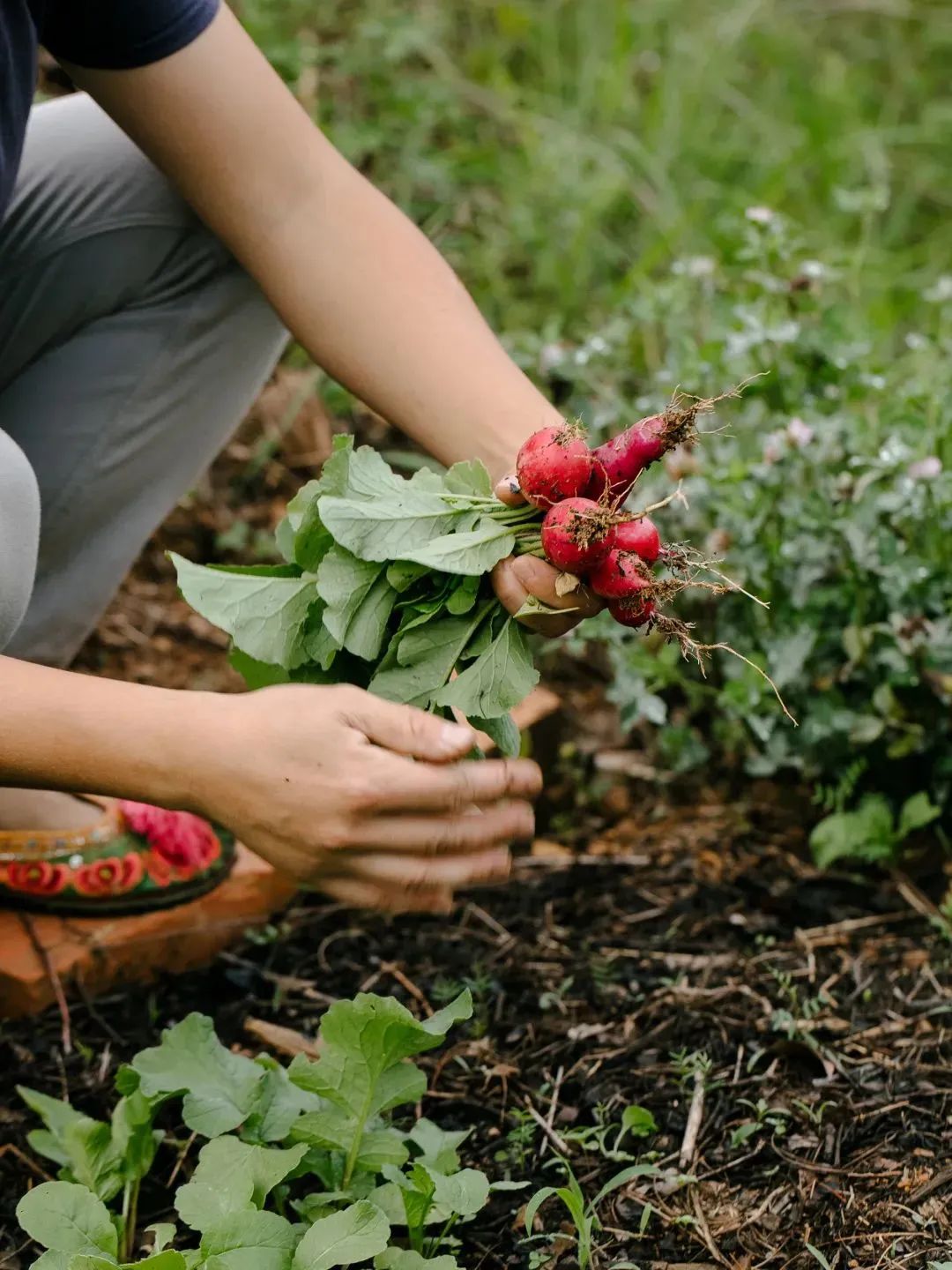 裸辞女教师云南,辞职女教师隐居山村多年