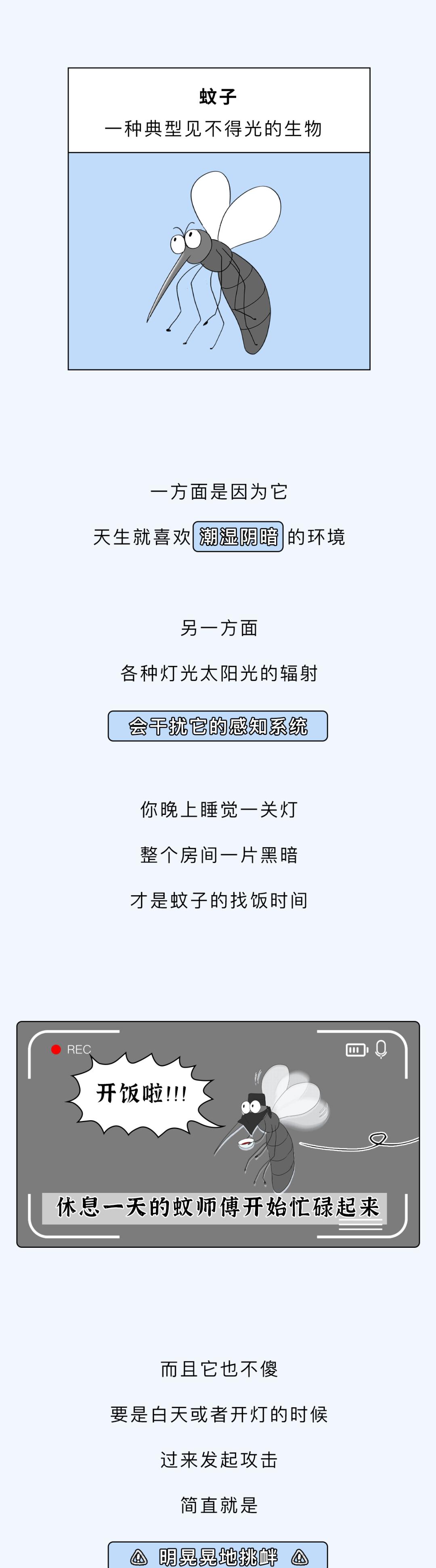 蚊子为什么晚上嗡嗡叫,蚊子是在耳边嗡还是附近嗡