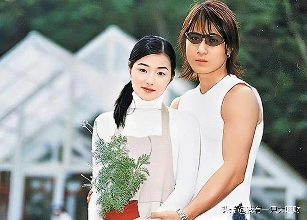 薰衣草从零开始,薰衣草诠释爱情