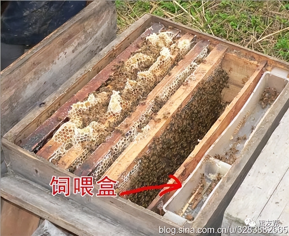 吃什么样的蜂蜜才是好的,带你了解不一样的蜂蜜