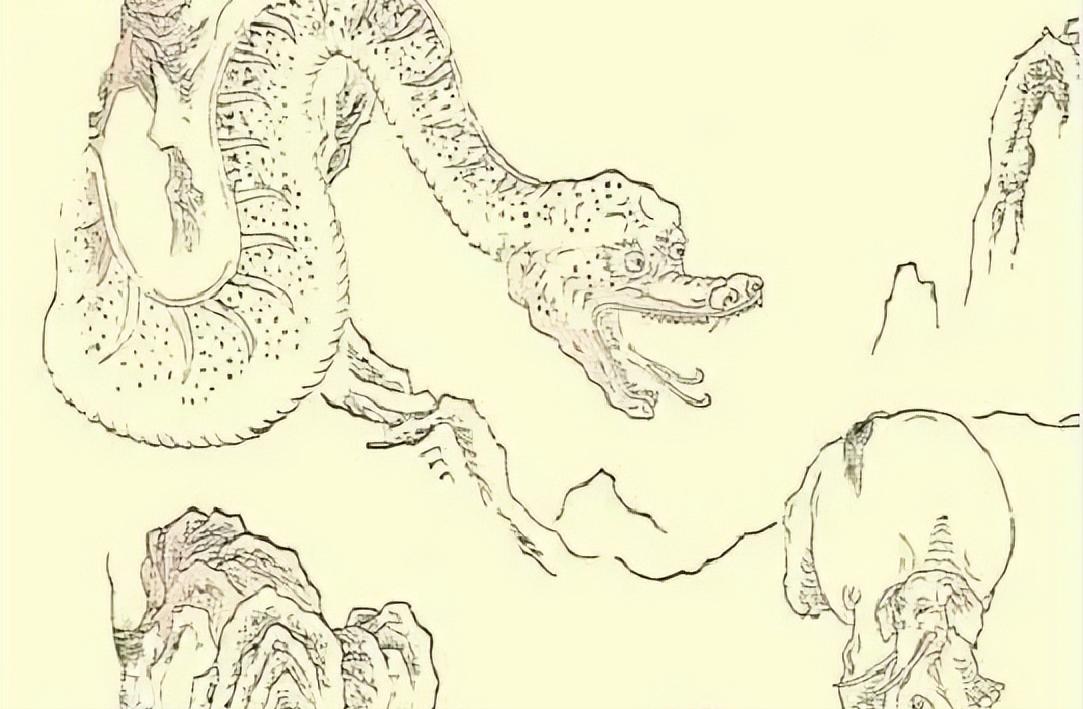 故事：药王唐慎微的离奇见闻，巴蛇护灵药，治酒虫，雀疮，传药典