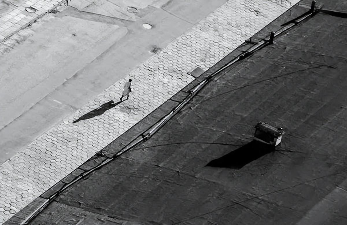 心上有个人才能活下去贾平凹,贾平凹心里有个人才能活下去图片