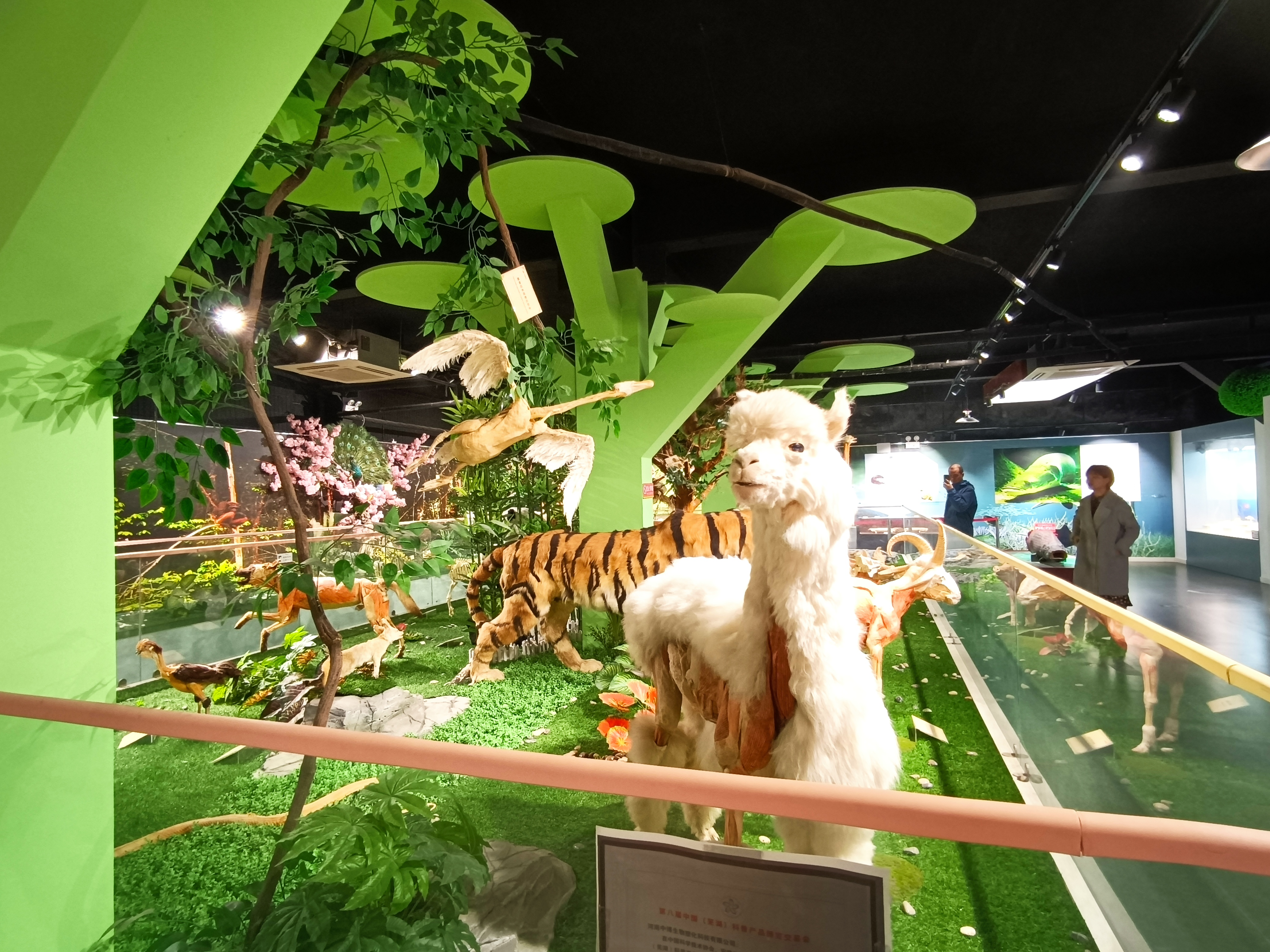 郑州人体科学馆要门票吗,郑州适合带孩子玩的博物馆科技馆