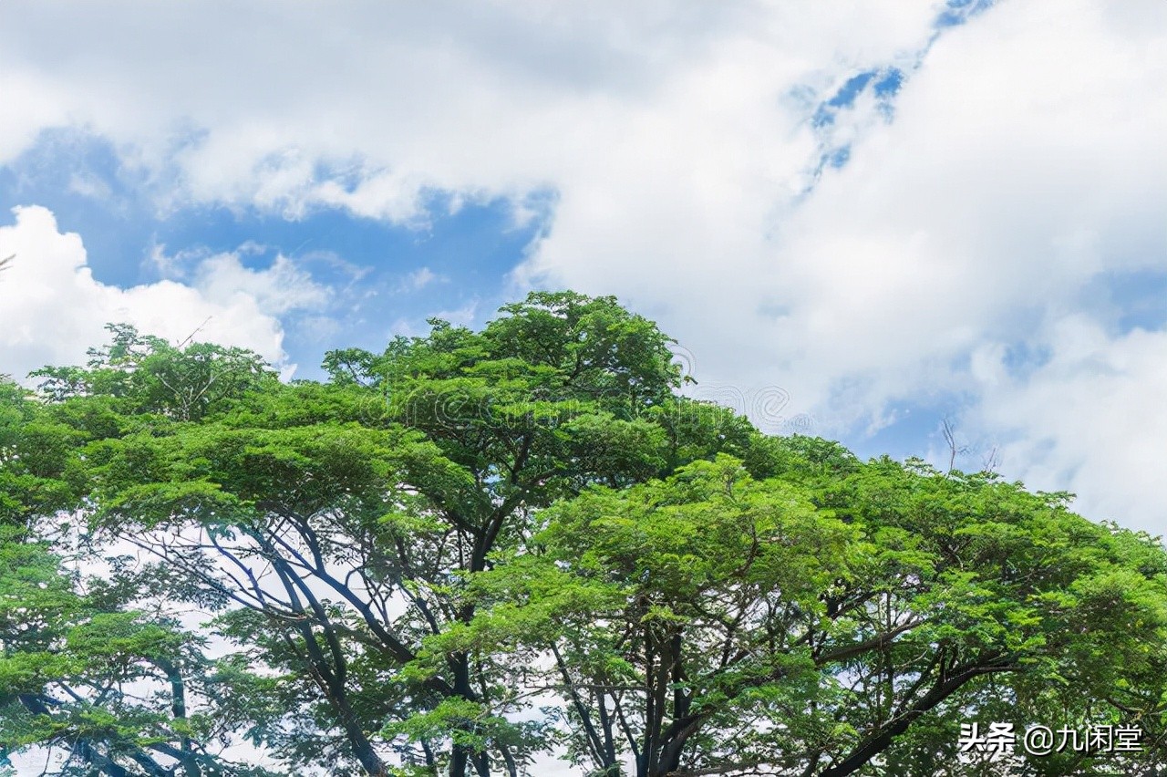 易经开篇全文,易经序言