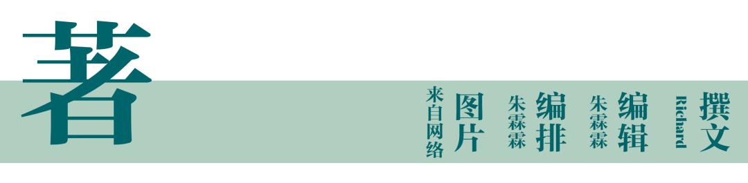如何选购食用油桶,食用油选购攻略指南