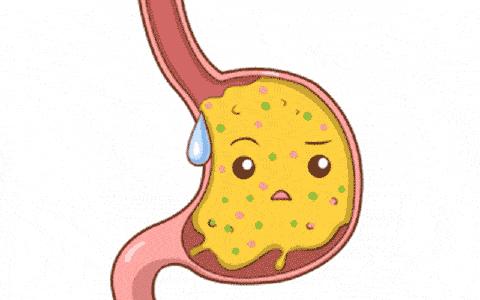 胃动力不足的食疗,胃动力不足怎么办