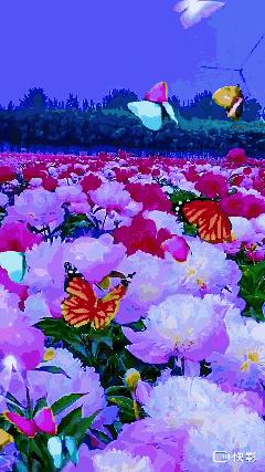 千字文诗社,第591期连天芳草翠，杨花柳絮飞