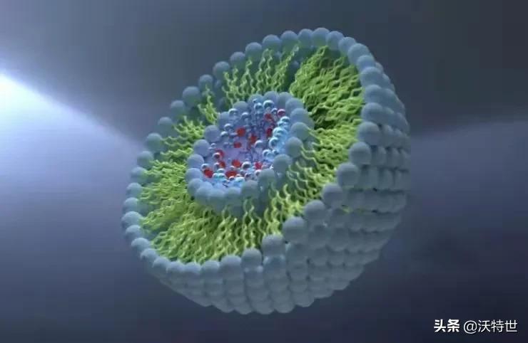 中药中化学成分是有效成分吗,如何鉴别中药里的有效成分