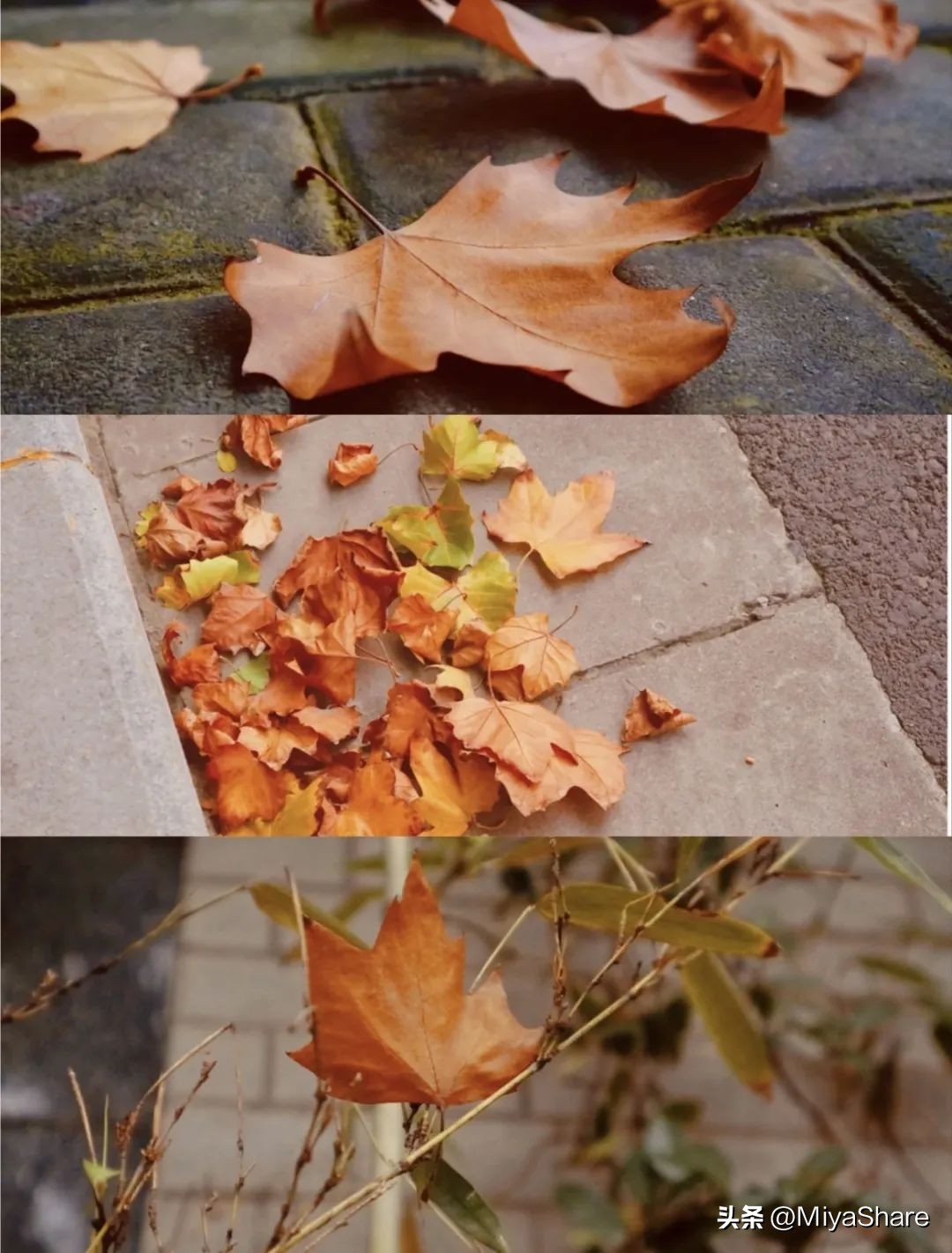 换季敏感肌如何拯救,敏感肌换季护肤的正确方法