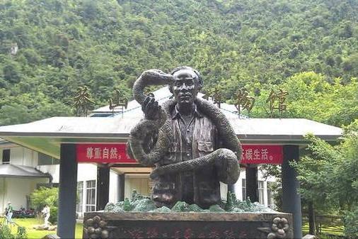 莽山烙铁头5000一条是真的吗,莽山烙铁头和大熊猫哪个珍稀