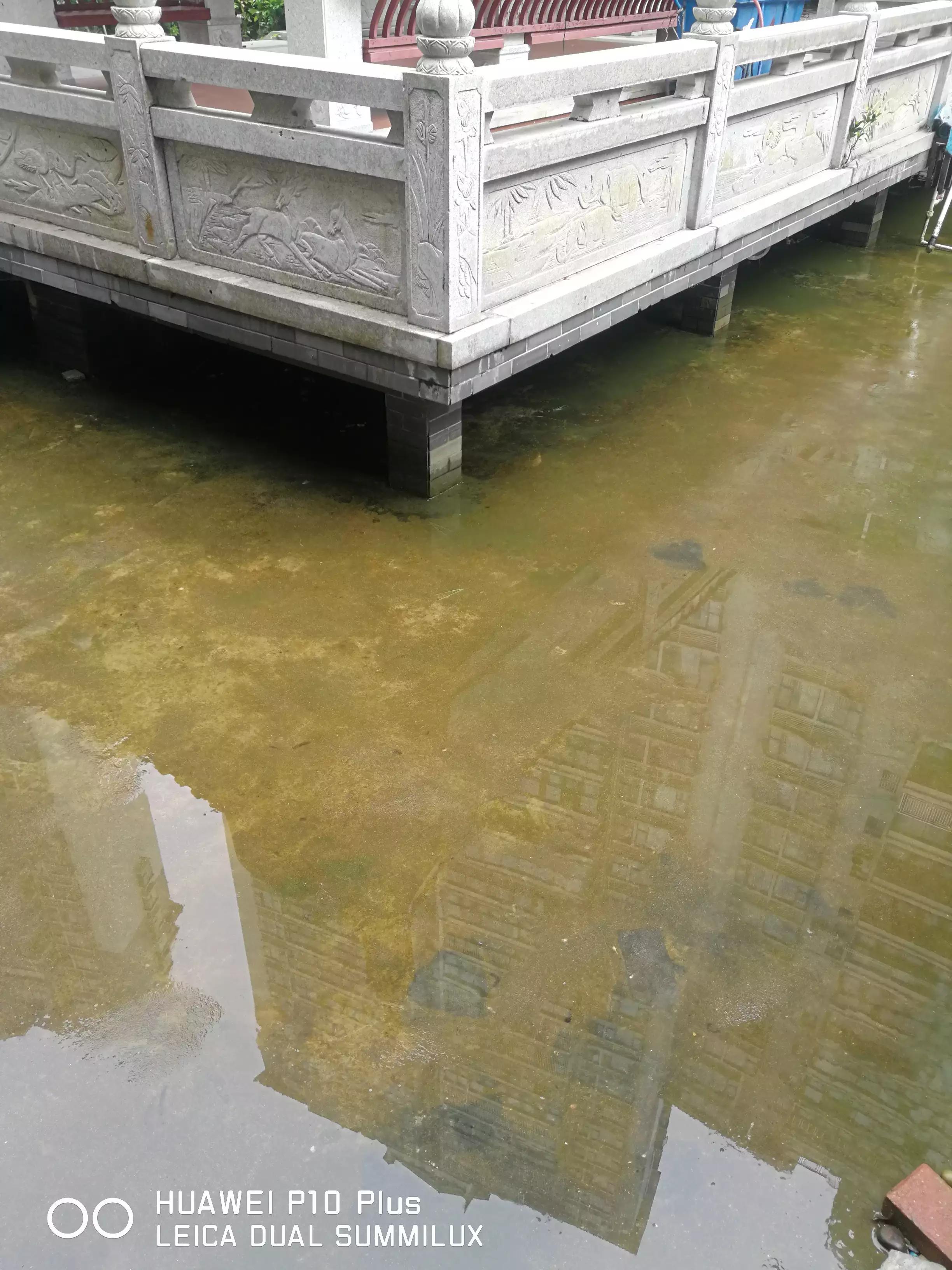 清除被水葫芦污染的鱼池,清理污水池淤泥对人有啥危害