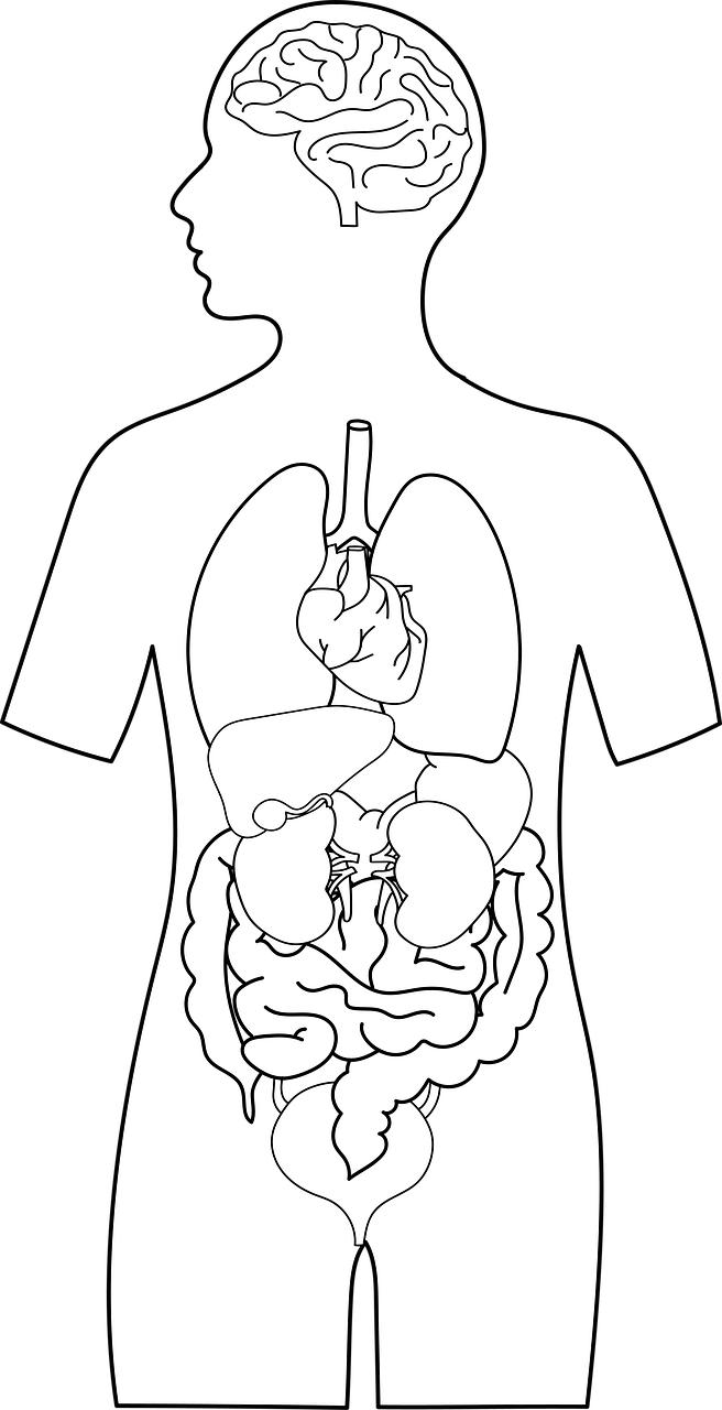 未来几年这三个行业依然赚钱,这六个行业未来五年最赚钱