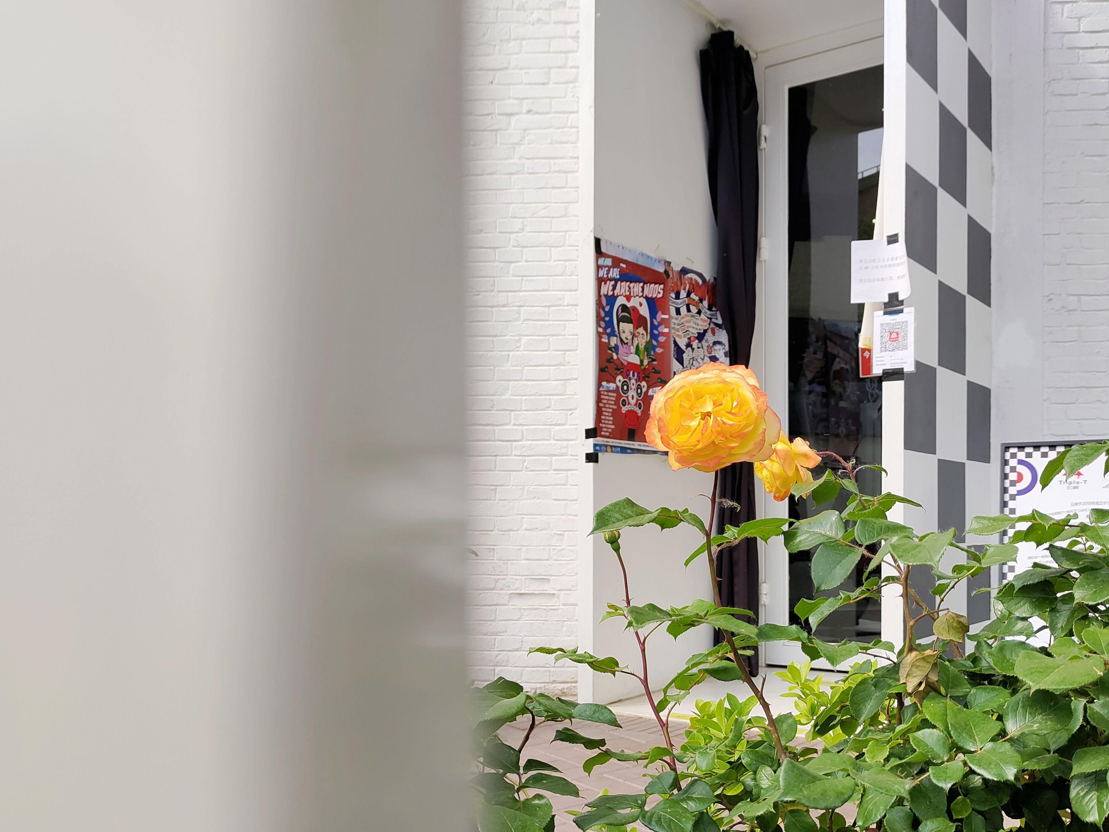 iqooneo6se要买最高配吗,iqooneo6se870是巅峰版吗