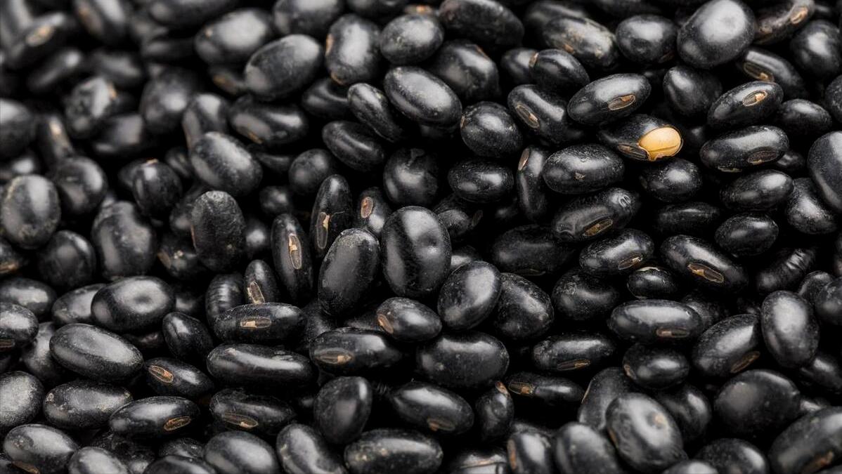 明日端午节,提醒老年人多吃“2豆”,多喝“4茶”,解疲劳更健康