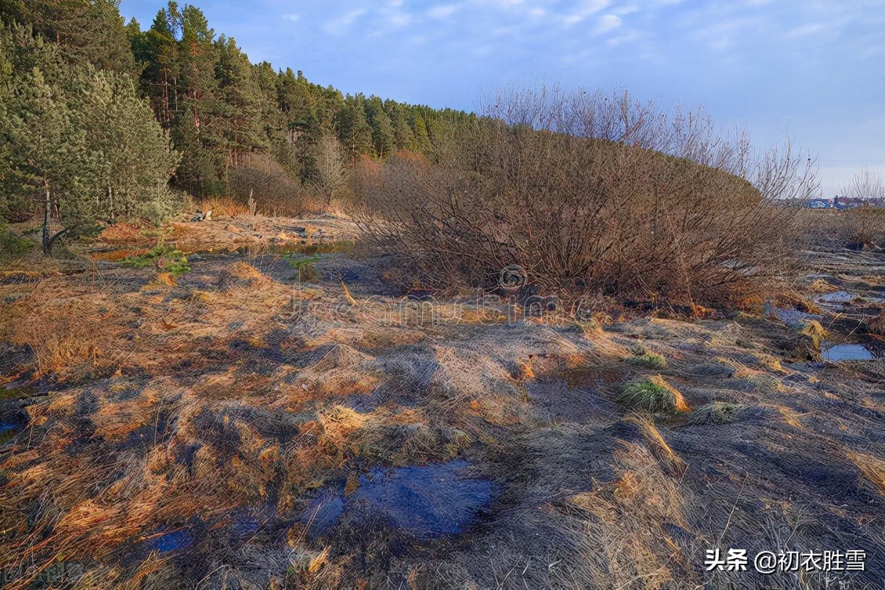 古诗平安,平安二字值千金的诗句
