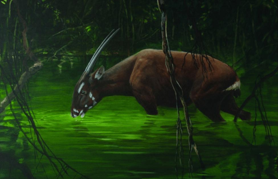 世界上最罕见的麒麟,最稀有的麒麟是谁