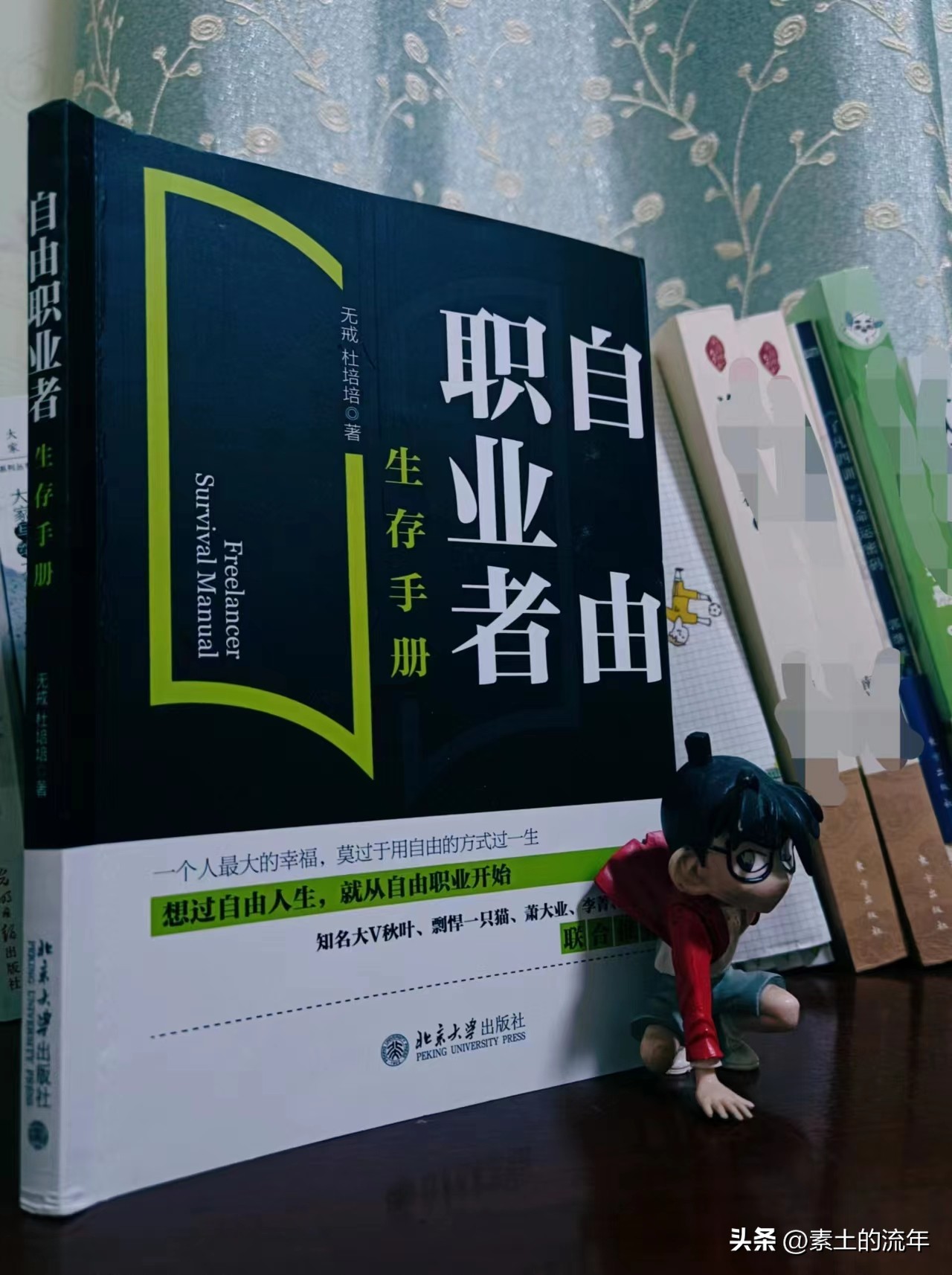 一书在手乐以忘忧,自由职业者创业方法