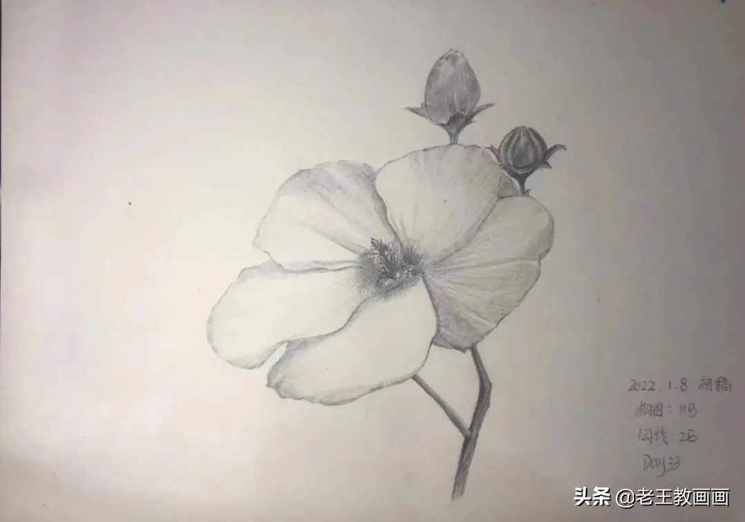 画画教程7-12岁画动漫人物新手,学画画三岁