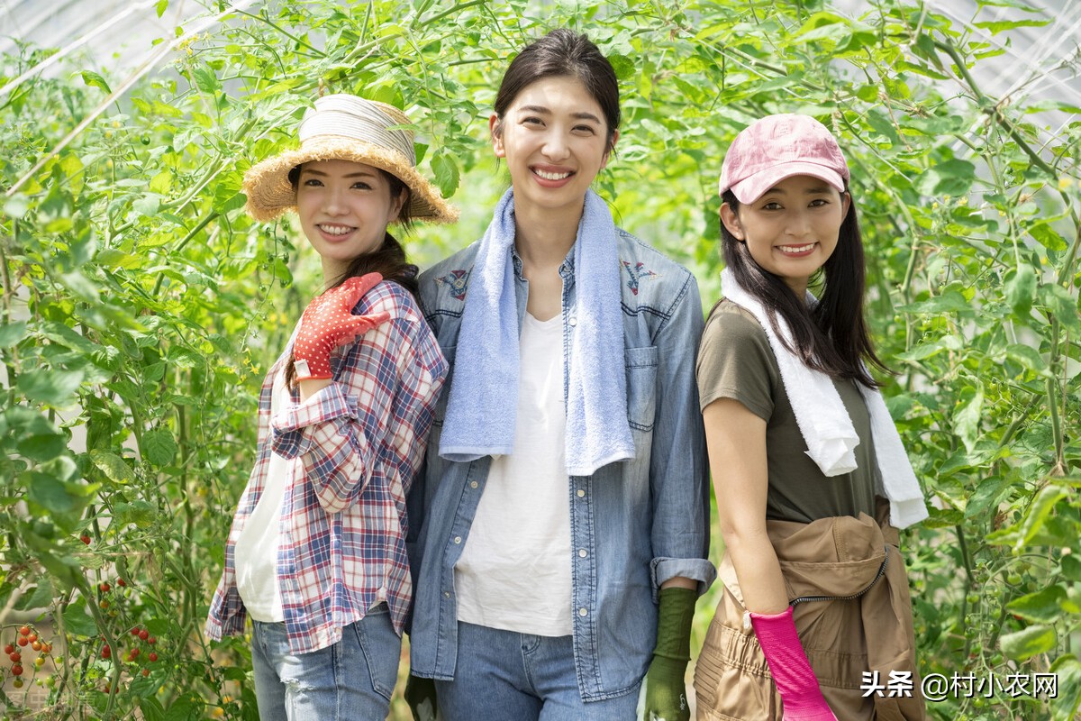 当下如何在农村创业赚钱致富,适合农村创业的最新致富项目