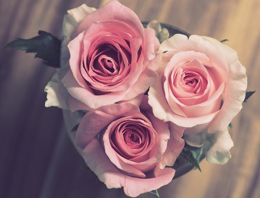 双子座2024年桃花劫中有金牛座吗,双子座和金牛座怎么样才能在一起