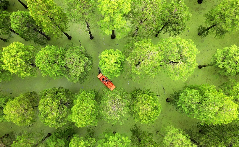 扬州最冷门老街,扬州旅游十大必去景点排行榜